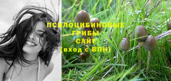 стафф Алексеевка
