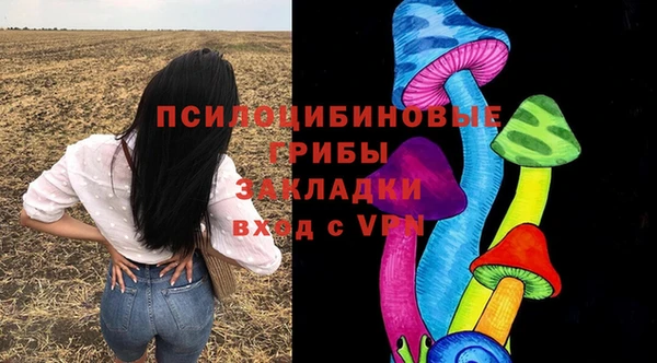 эйфоретик Алзамай