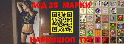 прущие грибы Анапа