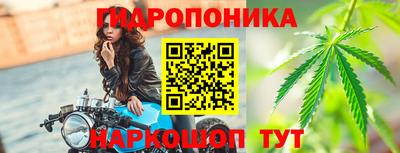 прущие грибы Анапа