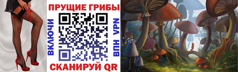 Псилоцибиновые грибы мицелий  omg ТОР  Владивосток 