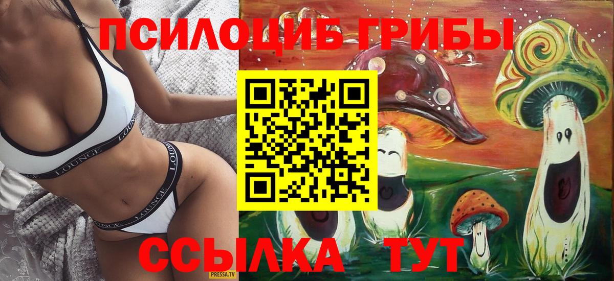 Владивосток  цена   Вход с VPN  Галлюциногенные грибы Cubensis 