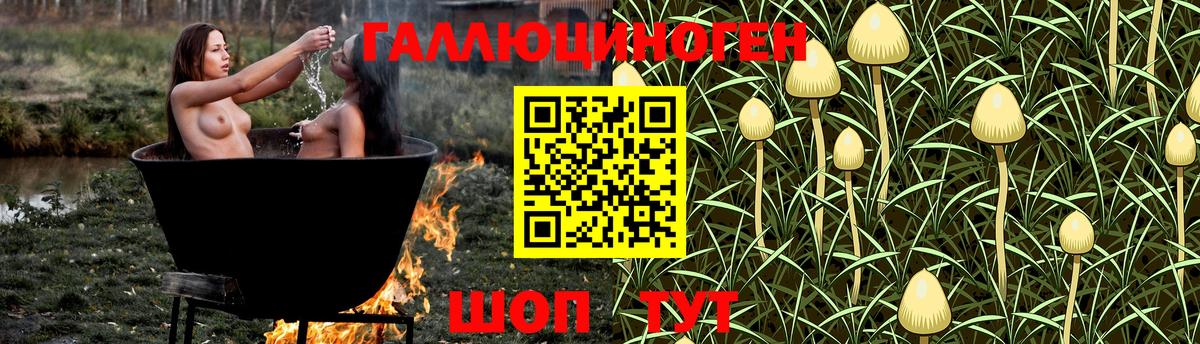 Галлюциногенные грибы Psilocybe Владивосток